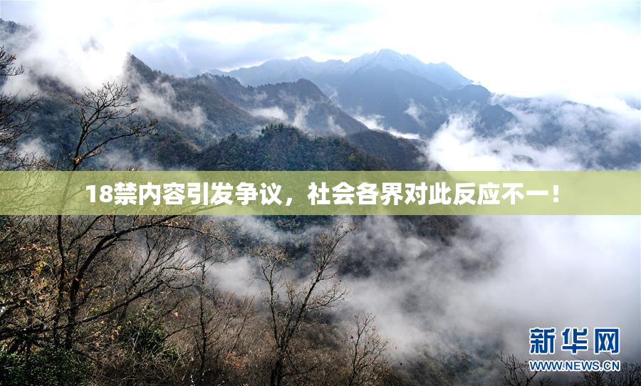 18禁内容引发争议，社会各界对此反应不一！