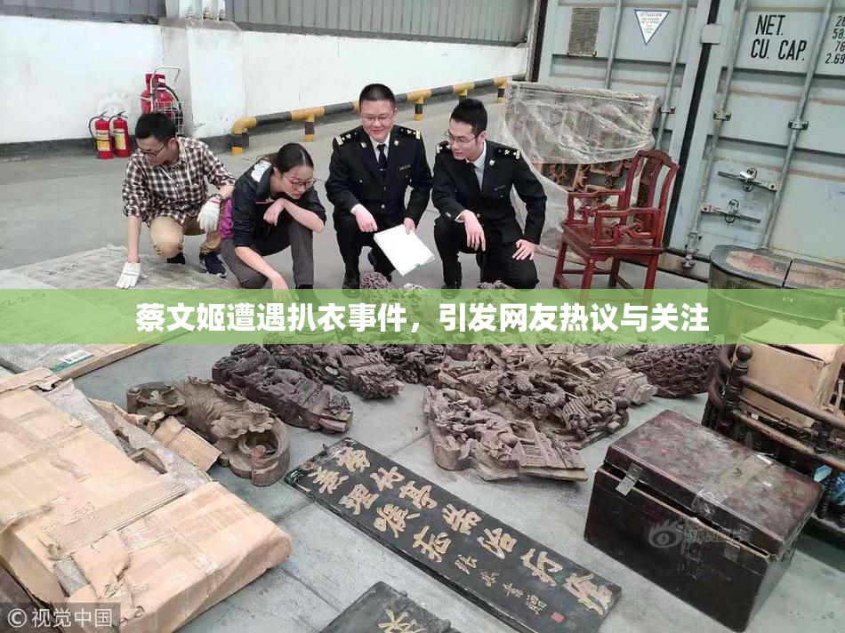 蔡文姬遭遇扒衣事件，引发网友热议与关注