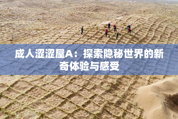 成人涩涩屋A：探索隐秘世界的新奇体验与感受