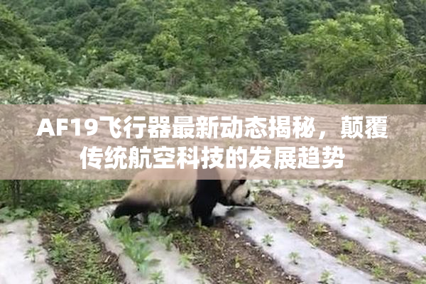 AF19飞行器最新动态揭秘，颠覆传统航空科技的发展趋势