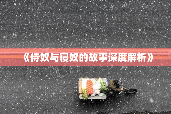 《侍奴与寝奴的故事深度解析》