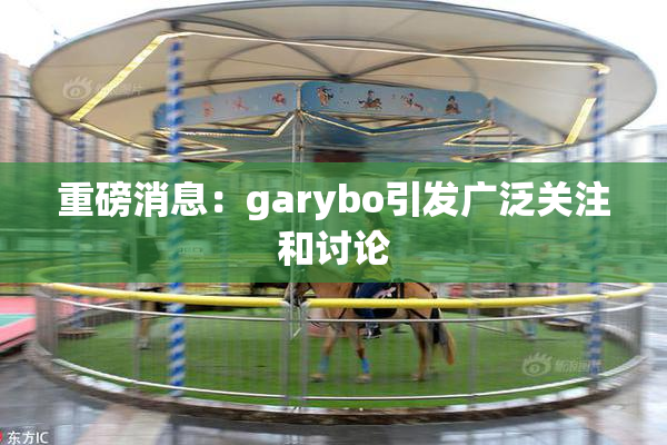 重磅消息：garybo引发广泛关注和讨论