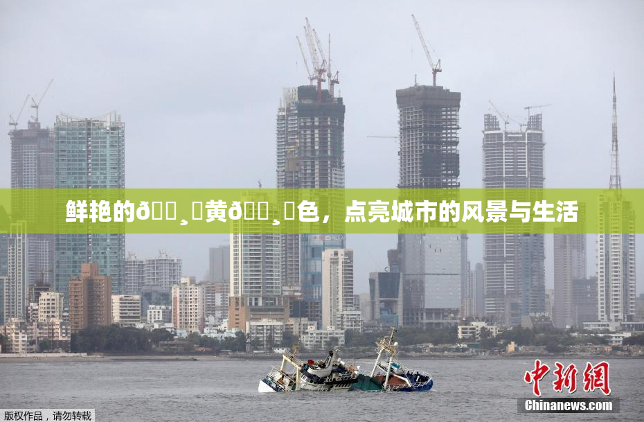 鲜艳的🌸‌黄🌸‌色，点亮城市的风景与生活