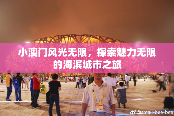 小澳门风光无限，探索魅力无限的海滨城市之旅