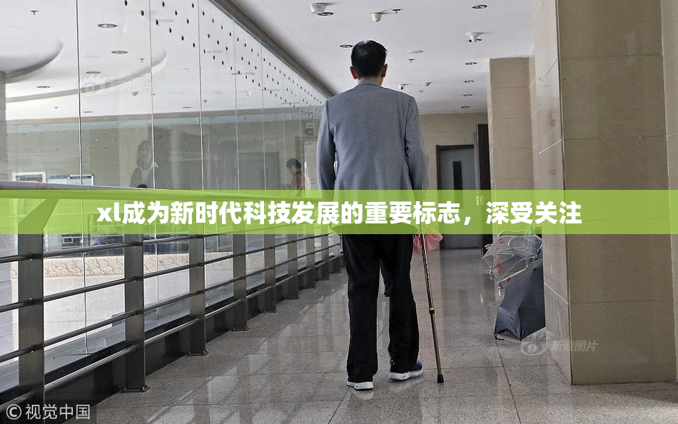 xl成为新时代科技发展的重要标志，深受关注