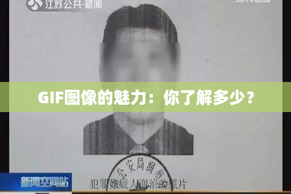 GIF图像的魅力：你了解多少？