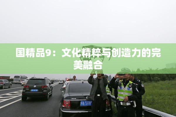 国精品9：文化精粹与创造力的完美融合