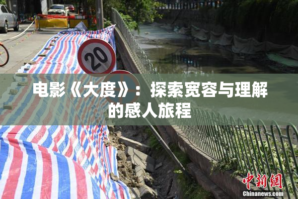 电影《大度》：探索宽容与理解的感人旅程