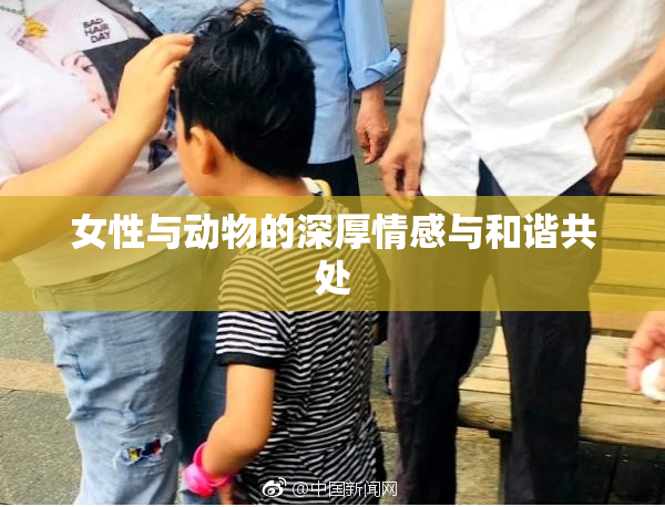 女性与动物的深厚情感与和谐共处