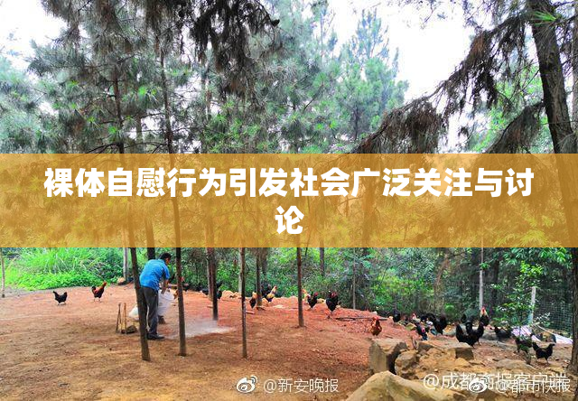 裸体自慰行为引发社会广泛关注与讨论