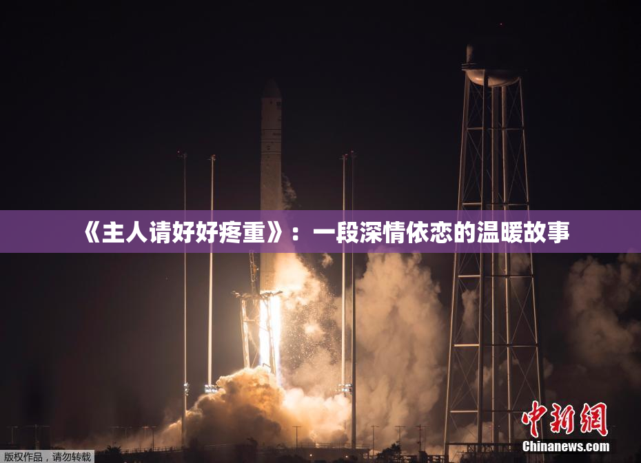 《主人请好好疼重》：一段深情依恋的温暖故事
