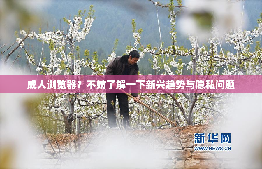成人浏览器？不妨了解一下新兴趋势与隐私问题
