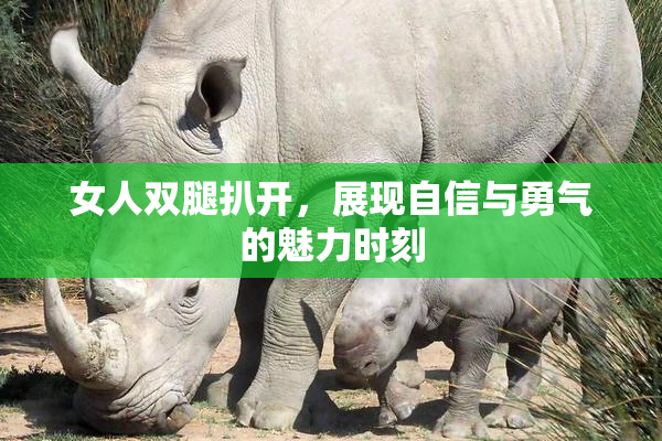 女人双腿扒开，展现自信与勇气的魅力时刻