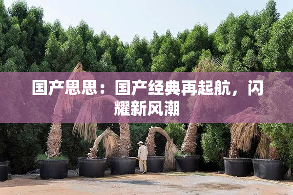 国产思思：国产经典再起航，闪耀新风潮