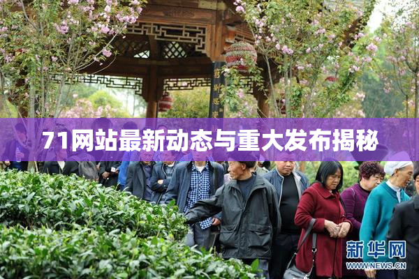 71网站最新动态与重大发布揭秘