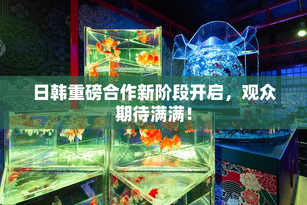 日韩重磅合作新阶段开启，观众期待满满！