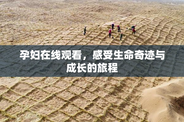 孕妇在线观看，感受生命奇迹与成长的旅程