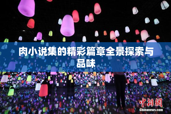 肉小说集的精彩篇章全景探索与品味