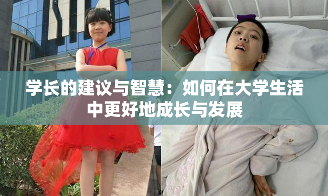 学长的建议与智慧：如何在大学生活中更好地成长与发展
