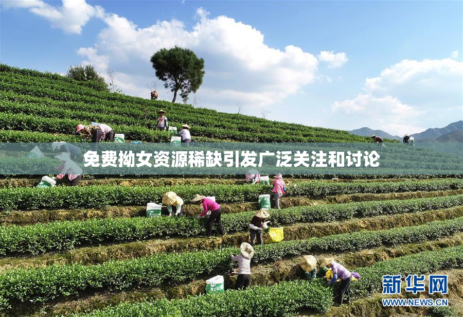 免费拗女资源稀缺引发广泛关注和讨论