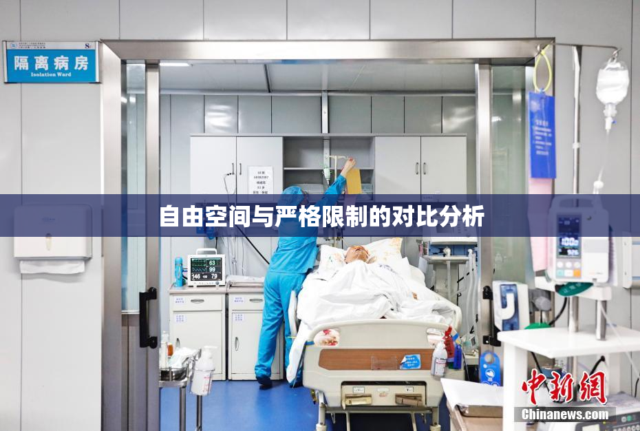 自由空间与严格限制的对比分析