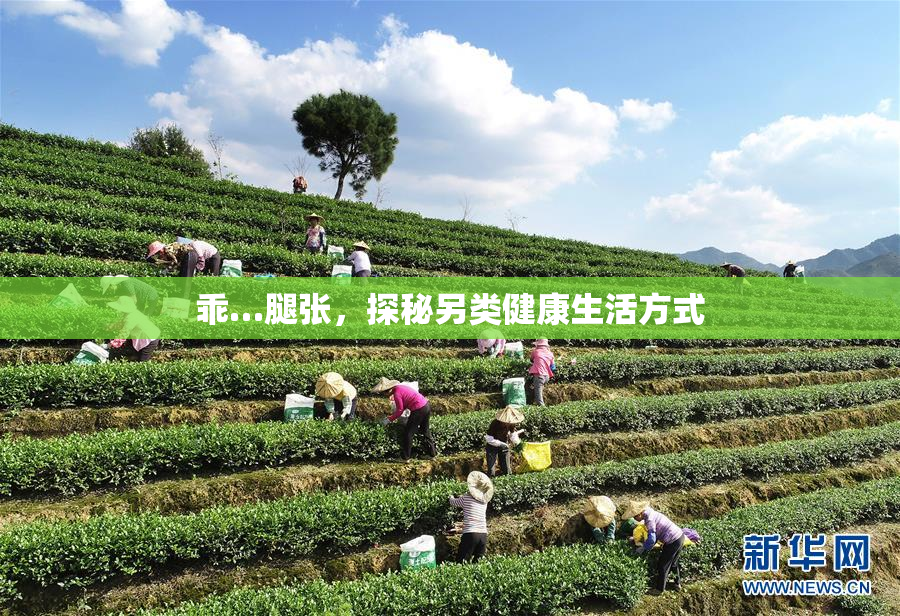 乖…腿张，探秘另类健康生活方式