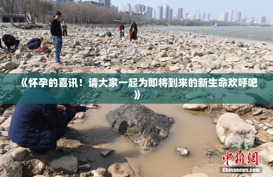 《怀孕的喜讯！请大家一起为即将到来的新生命欢呼吧》