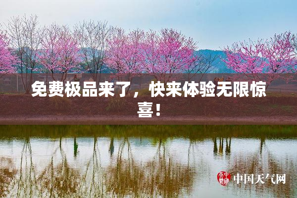 免费极品来了，快来体验无限惊喜！