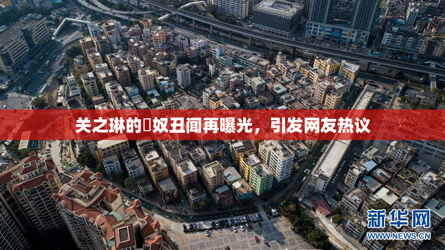 关之琳的婬奴丑闻再曝光，引发网友热议