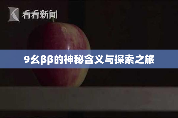 9幺ββ的神秘含义与探索之旅