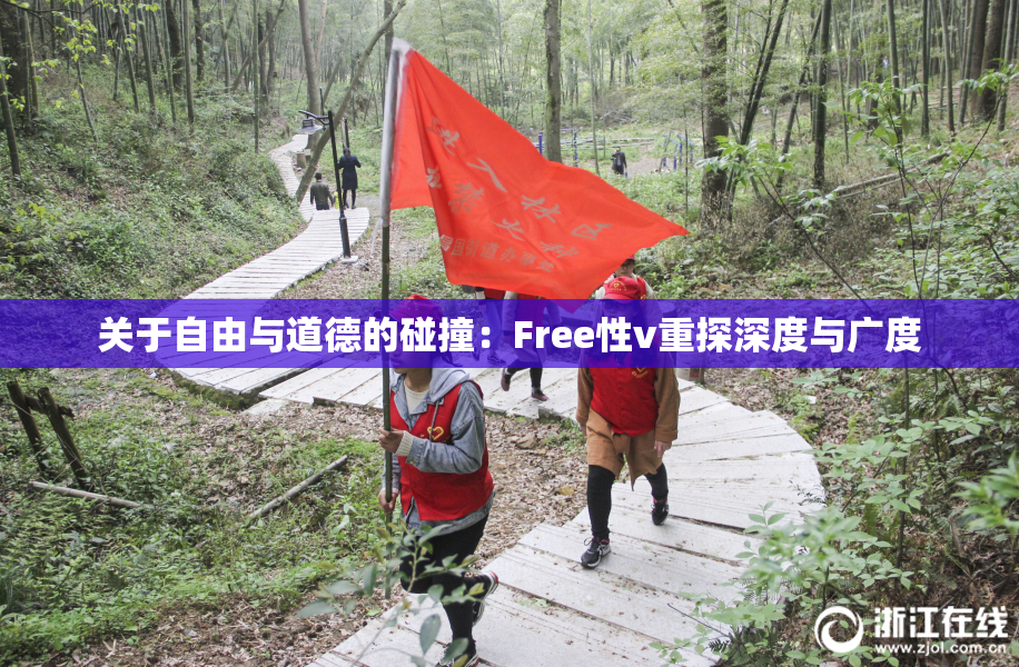 关于自由与道德的碰撞：Free性v重探深度与广度