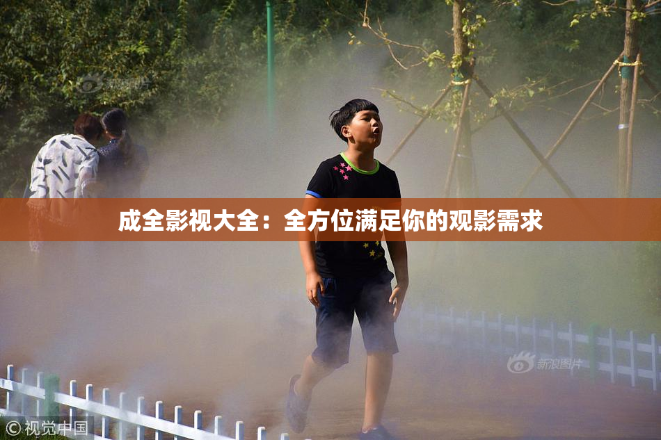 成全影视大全：全方位满足你的观影需求