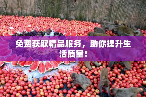 免费获取精品服务，助你提升生活质量！
