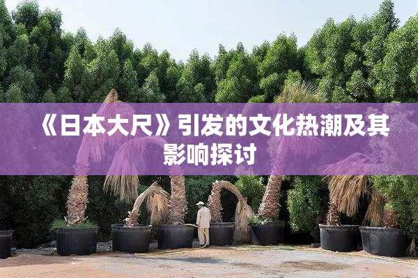 《日本大尺》引发的文化热潮及其影响探讨
