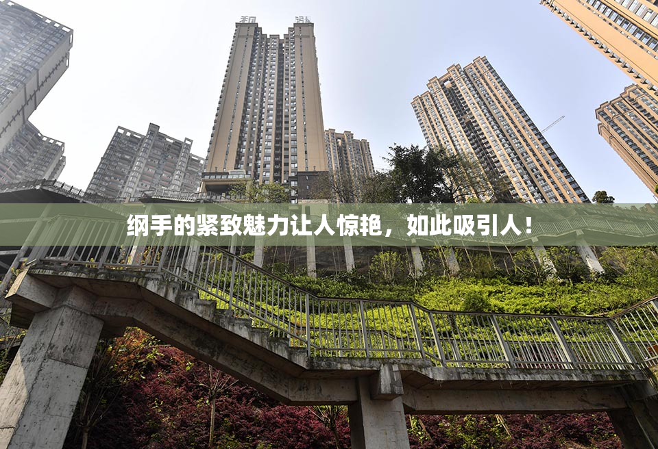 纲手的紧致魅力让人惊艳，如此吸引人！