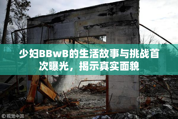 少妇BBwB的生活故事与挑战首次曝光，揭示真实面貌