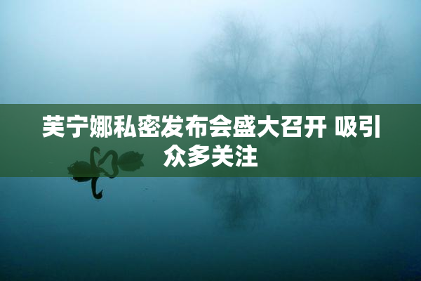 芙宁娜私密发布会盛大召开 吸引众多关注