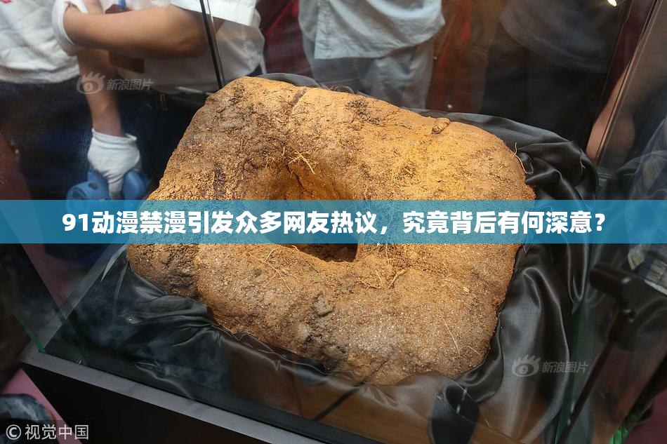 91动漫禁漫引发众多网友热议，究竟背后有何深意？