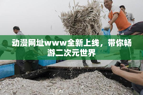 动漫网址www全新上线，带你畅游二次元世界