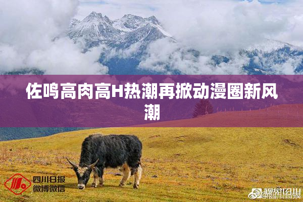佐鸣高肉高H热潮再掀动漫圈新风潮
