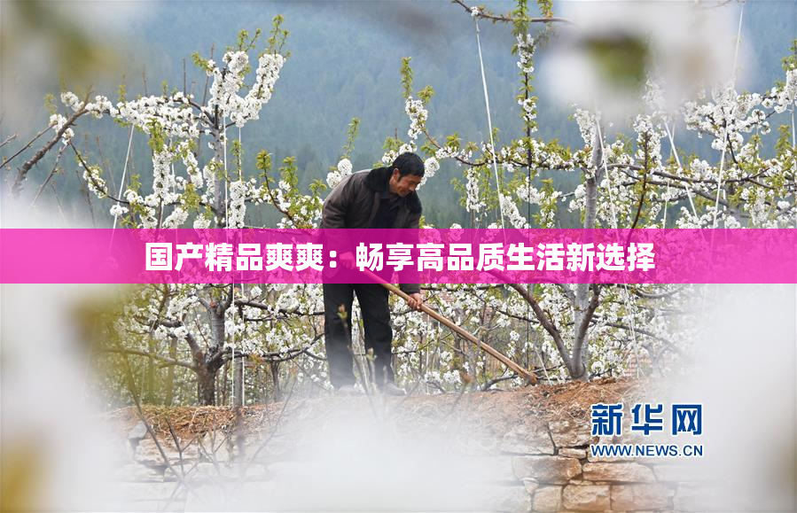 国产精品爽爽：畅享高品质生活新选择