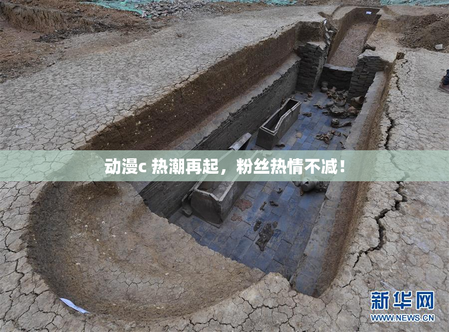 动漫c 热潮再起，粉丝热情不减！