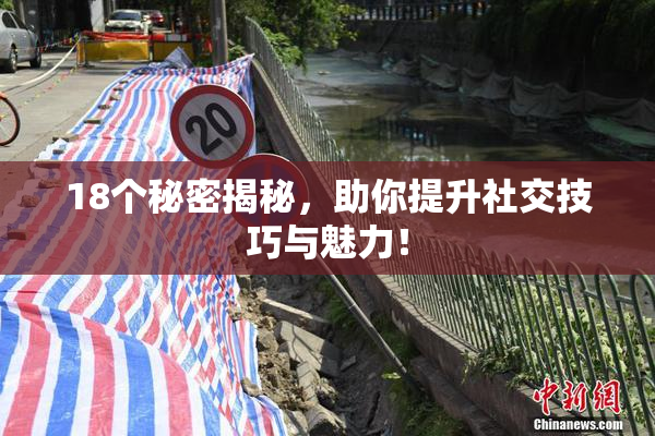 18个秘密揭秘，助你提升社交技巧与魅力！