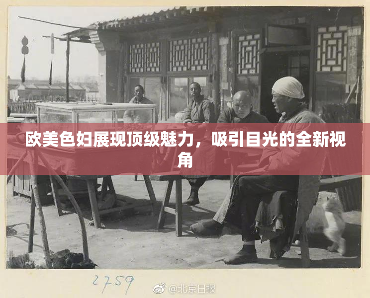 欧美色妇展现顶级魅力，吸引目光的全新视角