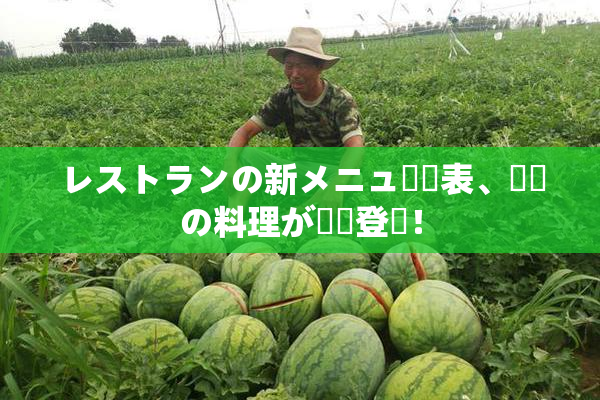 レストランの新メニュー発表、話題の料理が続々登場！