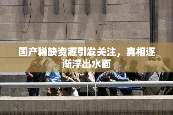 国产稀缺资源引发关注，真相逐渐浮出水面