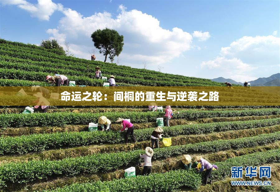 命运之轮：间桐的重生与逆袭之路