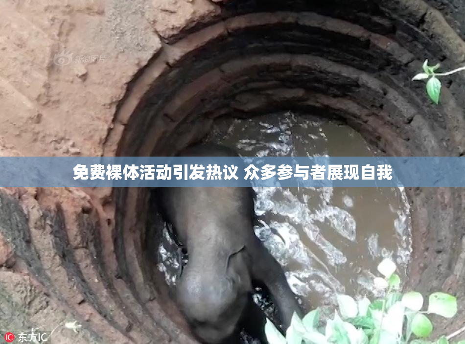 免费裸体活动引发热议 众多参与者展现自我