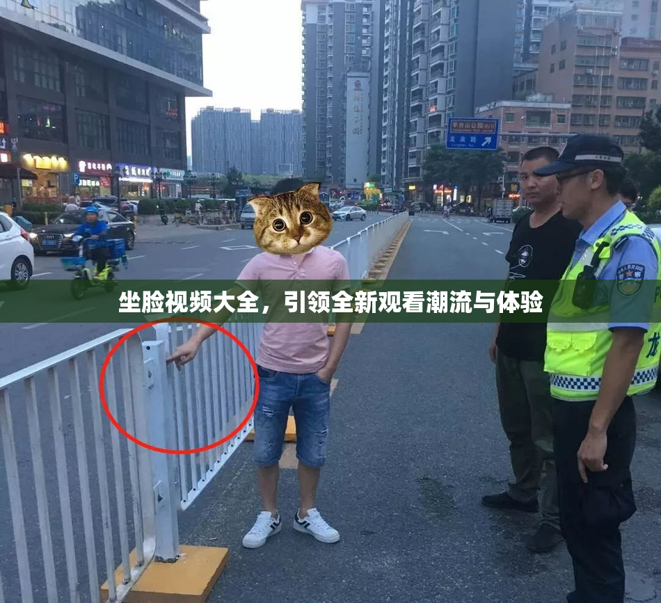 坐脸视频大全，引领全新观看潮流与体验