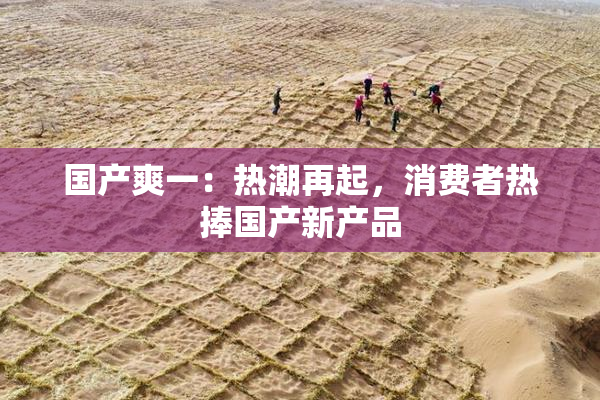 国产爽一：热潮再起，消费者热捧国产新产品